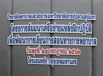 Seminar in Network for Nursing Practice
Training Program of Bachelor of Nursing
Science Program