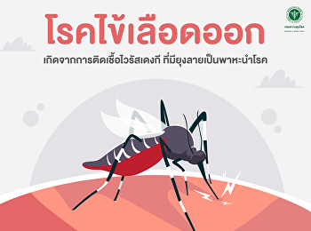 Dengue fever caused by dengue virus
infection with Aedes aegypti as a vector