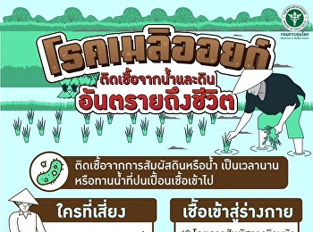 โรคเมลิออยด์
เกิดจากการติดเชื้อแบคทีเรียที่อยู่ในดินหรือน้ำเป็นเวลานาน
มีอันตรายถึงชีวิต