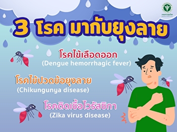 3 diseases come with Aedes mosquitoes