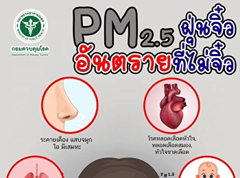 PM2.5 Danger Tiny non-microscopic dust