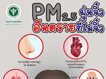 PM2.5 Danger Tiny non-microscopic dust