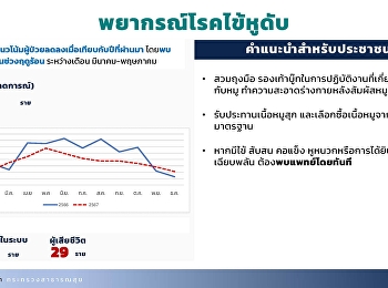 12 โรคต้องเฝ้าระวัง