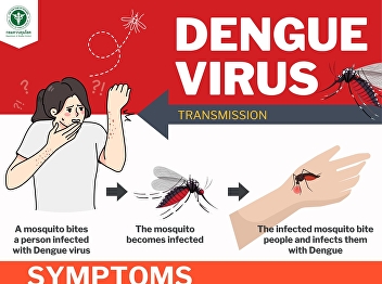 Dengue fever Be aware and prevent it