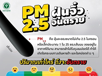 PM2.5 Dangerous micro dust