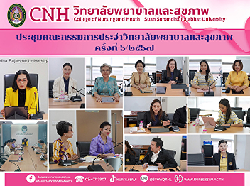 Meeting of the College of Nursing and
Health Committee No. 6/2024