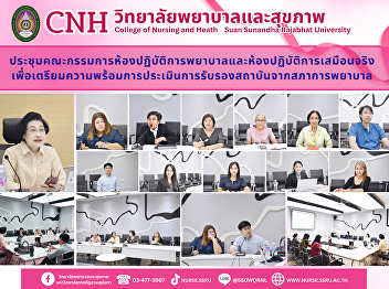 Meeting of the Nursing Laboratory and
Virtual Laboratory Committee